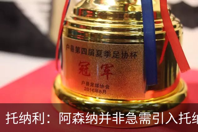 托纳利：阿森纳并非急需引入托纳利，不应花1亿英镑买他
