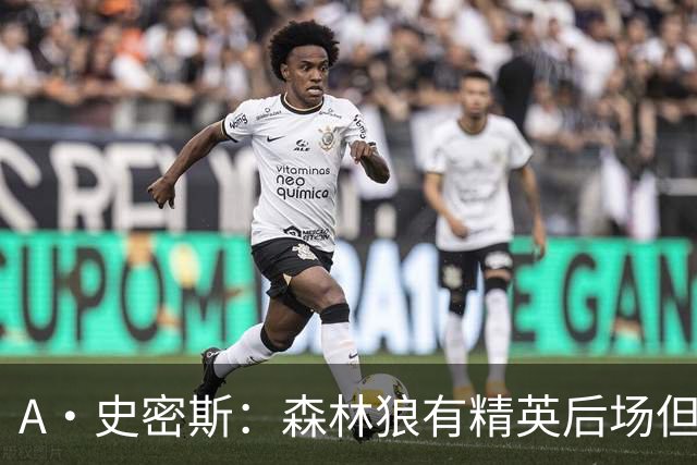 A·史密斯：森林狼有精英后场但体型变小 难应对雷霆马刺火箭掘金